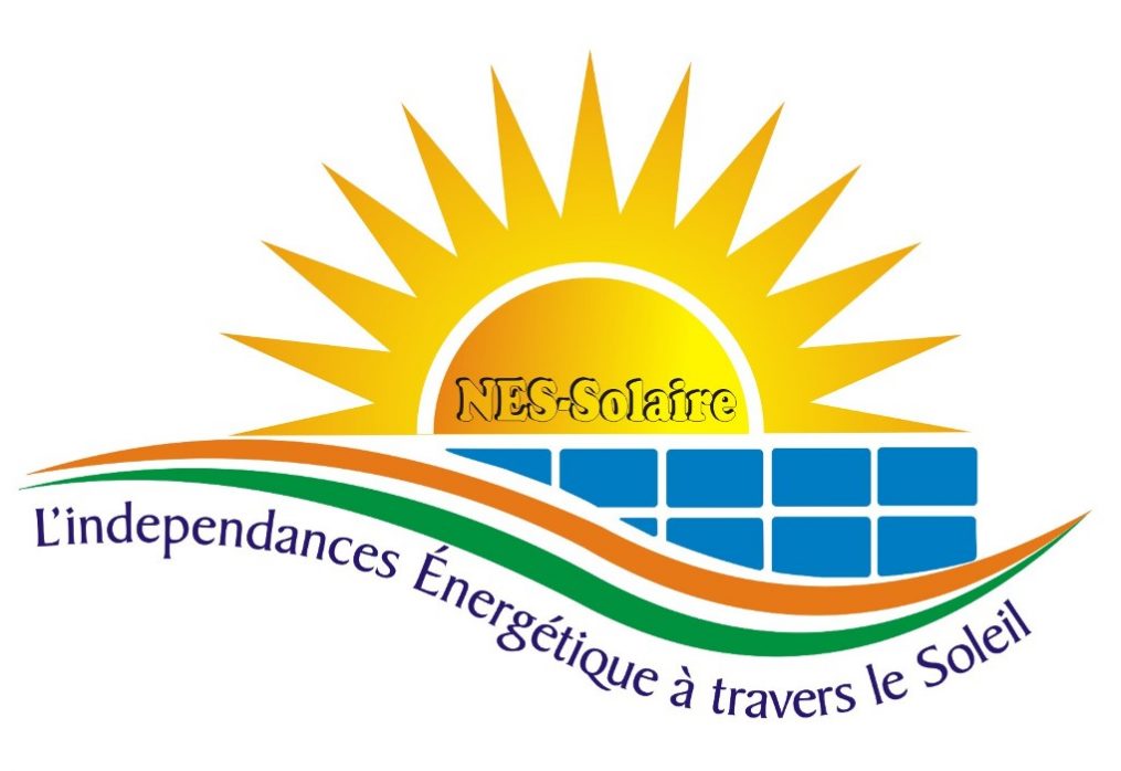 NIGER ELECTRO-SERVICES